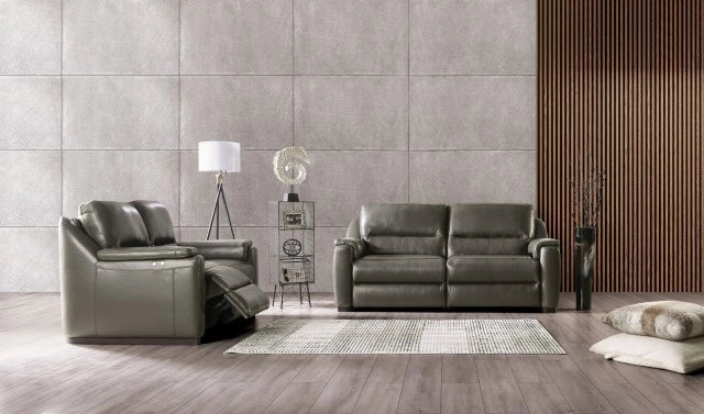 ALTAMURA Power Loveseat, Gray & Beige