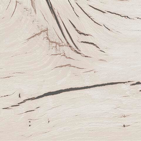 Lawroy Panel Storage Bed