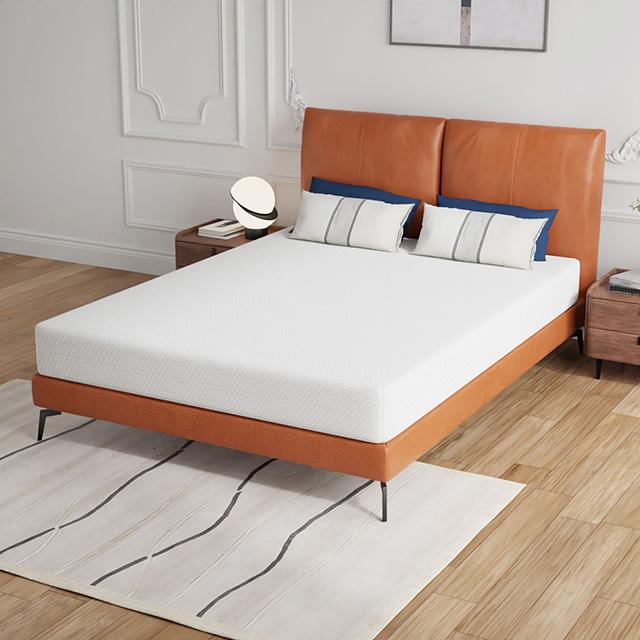 Forsythia 8" Queen Green Tea Gel Memory Foam