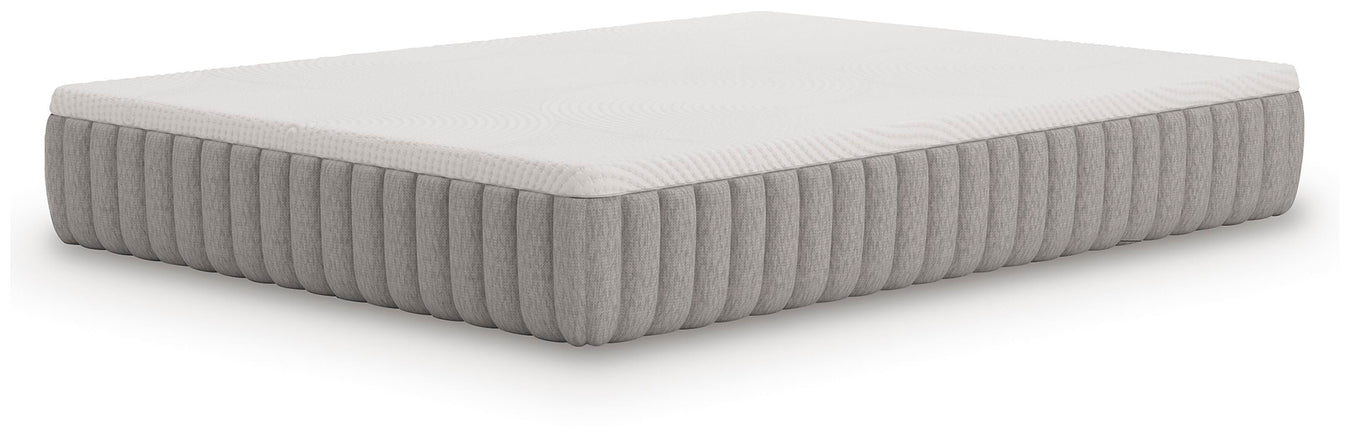 Terra Sleep Medium