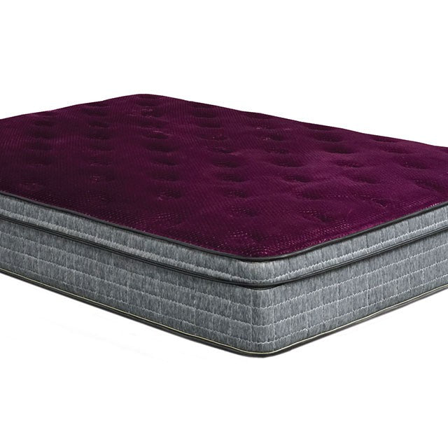 Gray/Purple